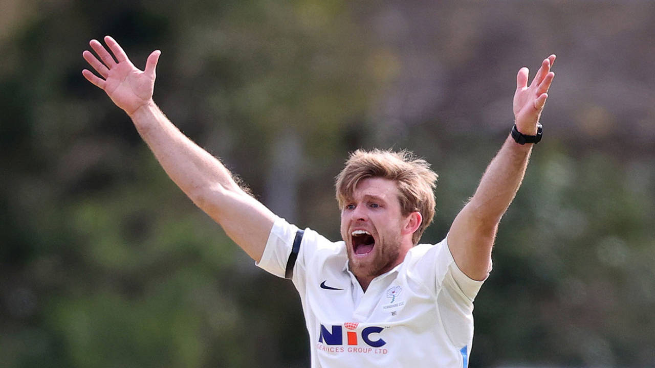 David Willey appeals for a wicket, LV= Insurance County Championship, Kent vs Yorkshire, Canterbury, April 16, 2021