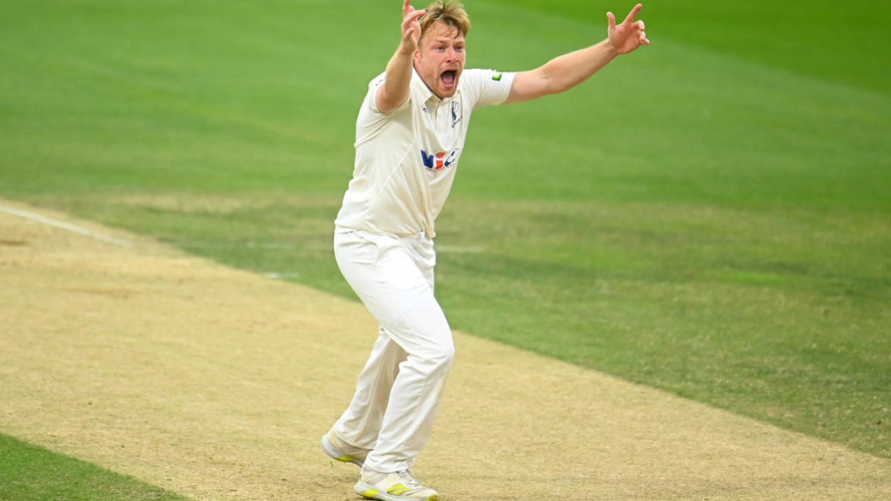 Matthew Waite appeals for a decision, Somerset vs Yorkshire, LV=County Championship, County Ground, July 20, 2022