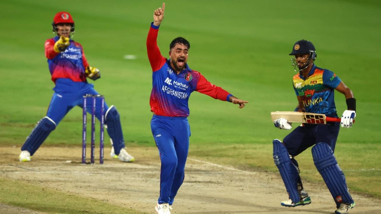 Rashid Khan appeals for the wicket of Dasun Shanaka, Sri Lanka vs Afghanistan, Men's T20 Asia Cup, Sharjah, September 3, 2022