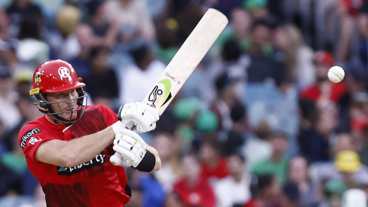 Martin Guptill was solid at the top of the Renegades order, Melbourne Stars vs Melbourne Renegades, BBL 2022-23, Melbourne, January 3, 2023