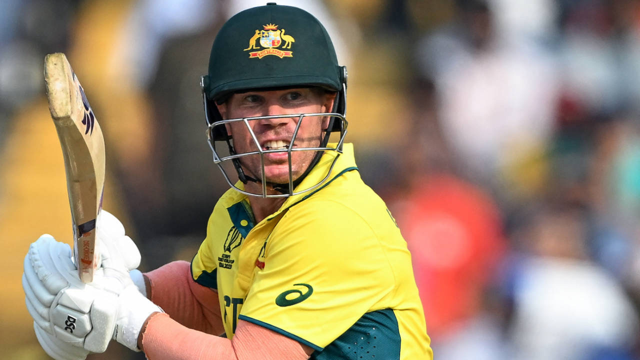David Warner has been given a break after the ODI World Cup&nbsp;&nbsp;&bull;&nbsp;&nbsp;AFP/Getty Images