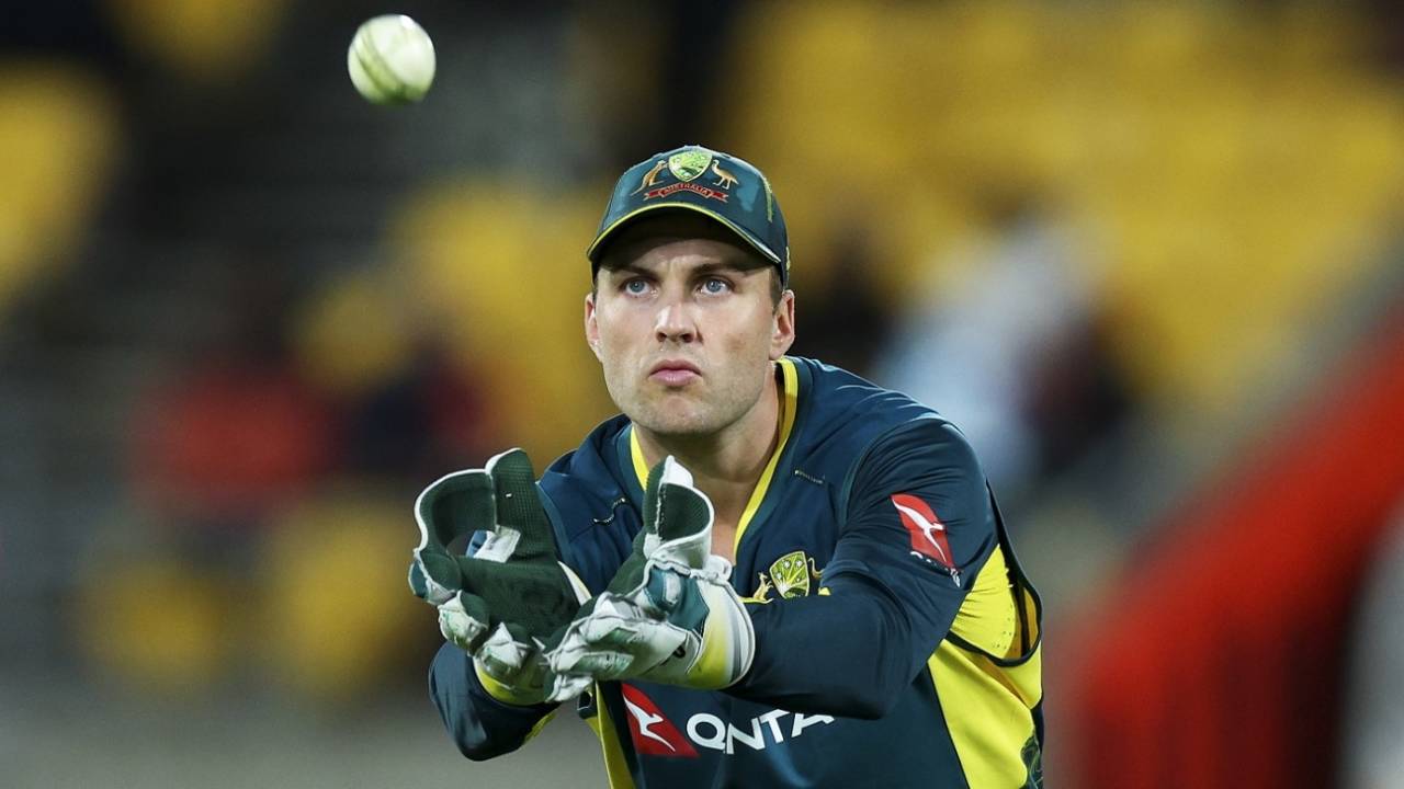Josh Inglis prepares to catch the ball, New Zealand vs Australia, 1st T20I, Wellington, February 21, 2024