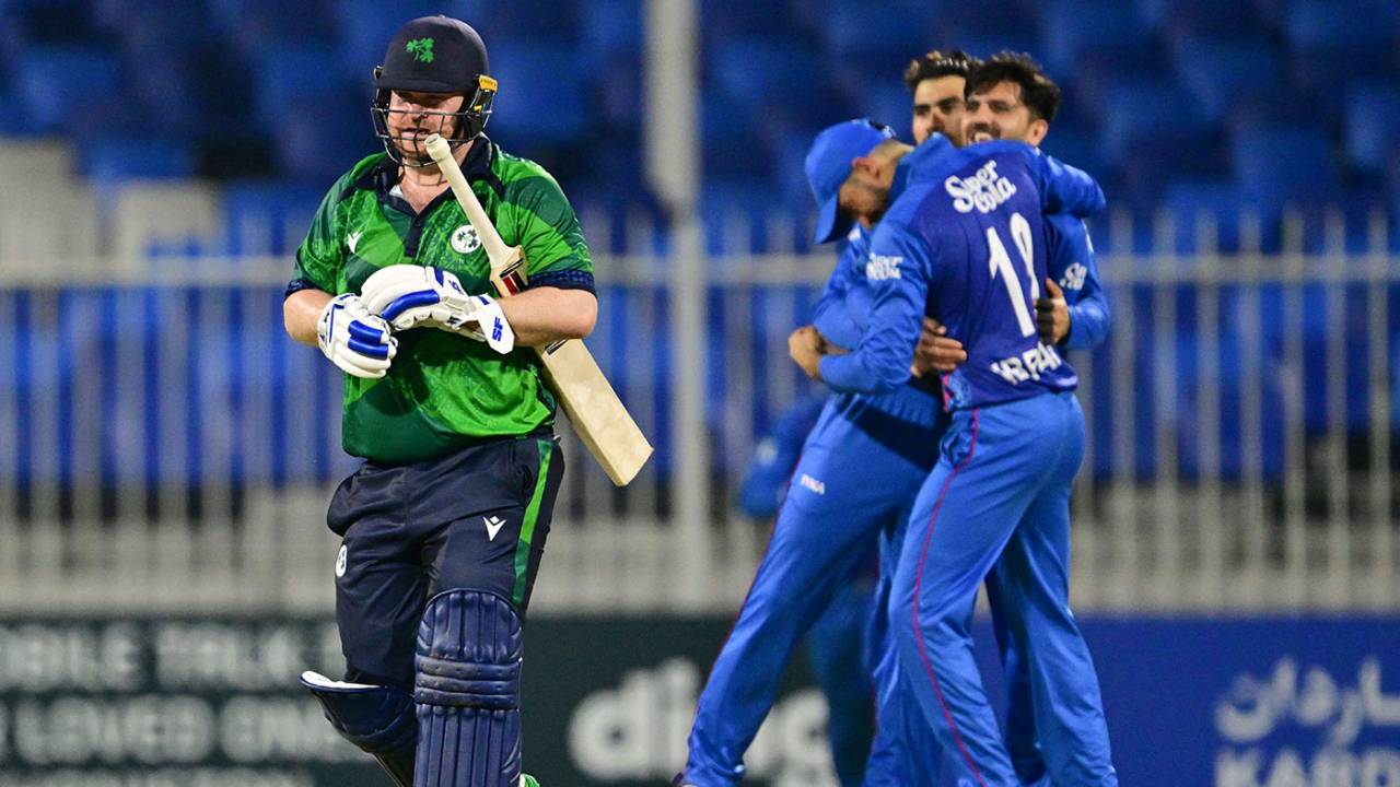 Afghanistan celebrate the wicket of Paul Stirling, Afghanistan vs Ireland, 3rd T20I, Sharjah, March 18, 2024