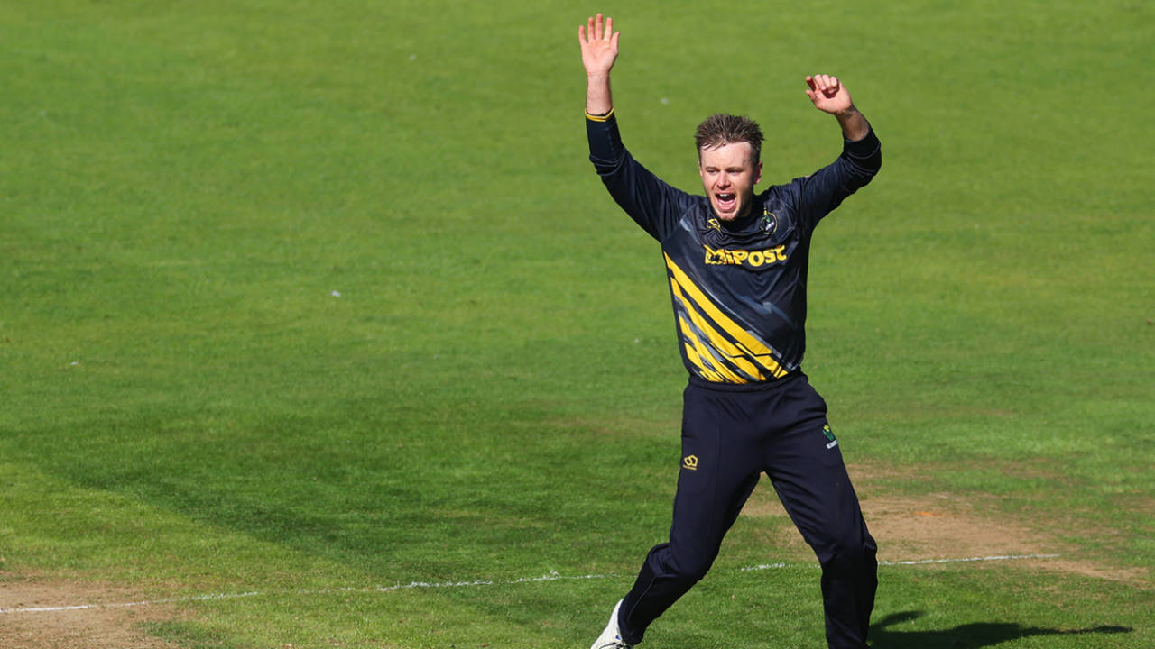 Mason Crane celebrates a breakthrough, Glamorgan vs Essex, Cardiff, Vitality Blast, July 7, 2024