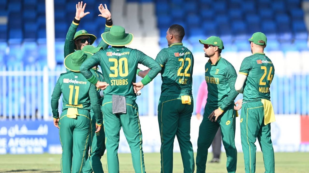 The South African players celebrate a wicket, Afghanistan vs South Africa, 3rd ODI, Sharjah, September 22, 2024