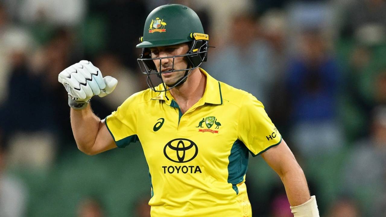 Pat Cummins celebrates after hitting the winning run, Australia vs Pakistan, 1st ODI, Melbourne, November 4, 2024