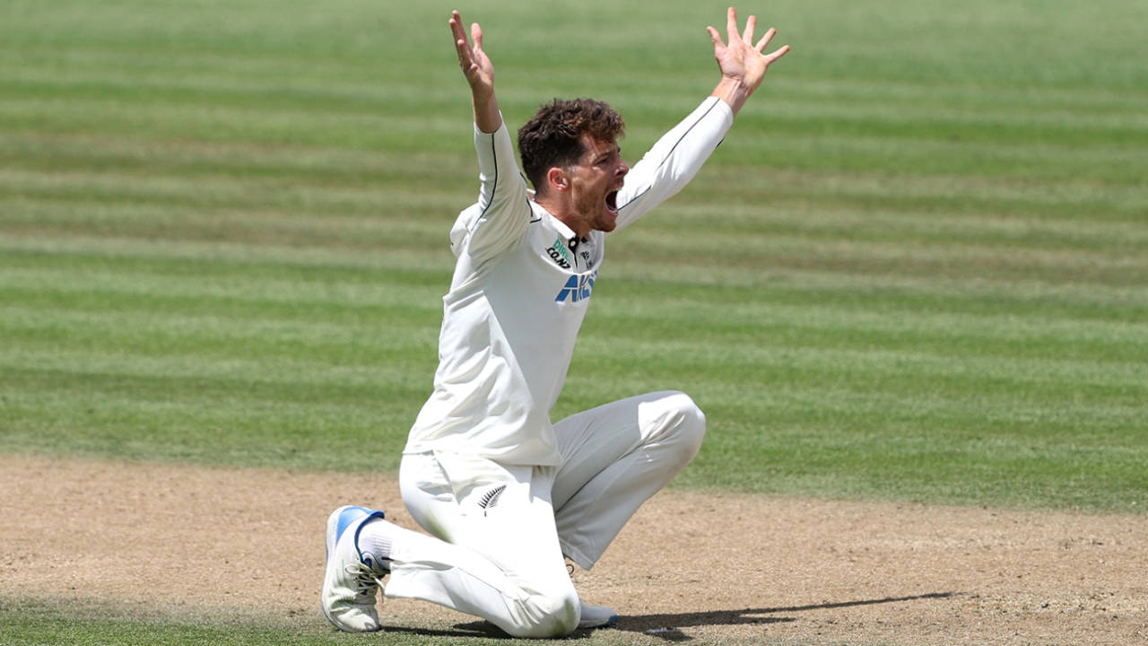 Mitchell Santner bellows an appeal, New Zealand vs England, 3rd Test, Hamilton, 4th day, December 17, 2024