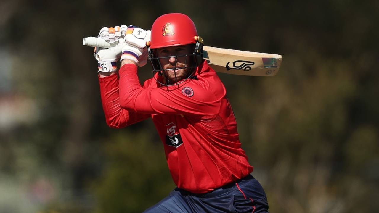 Mackenzie Harvey scored a half-century opening the innings, New South Wales vs South Australia, One-Day Cup, Sydney, September 20, 2025