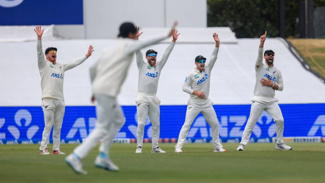 Glenn Phillips, Kane Williamson, Tom Latham and Daryl Mitchell go up in appeal, New Zealand vs West Indies, 3rd Test, Mount Maunganui, 3rd day, December 20, 2025