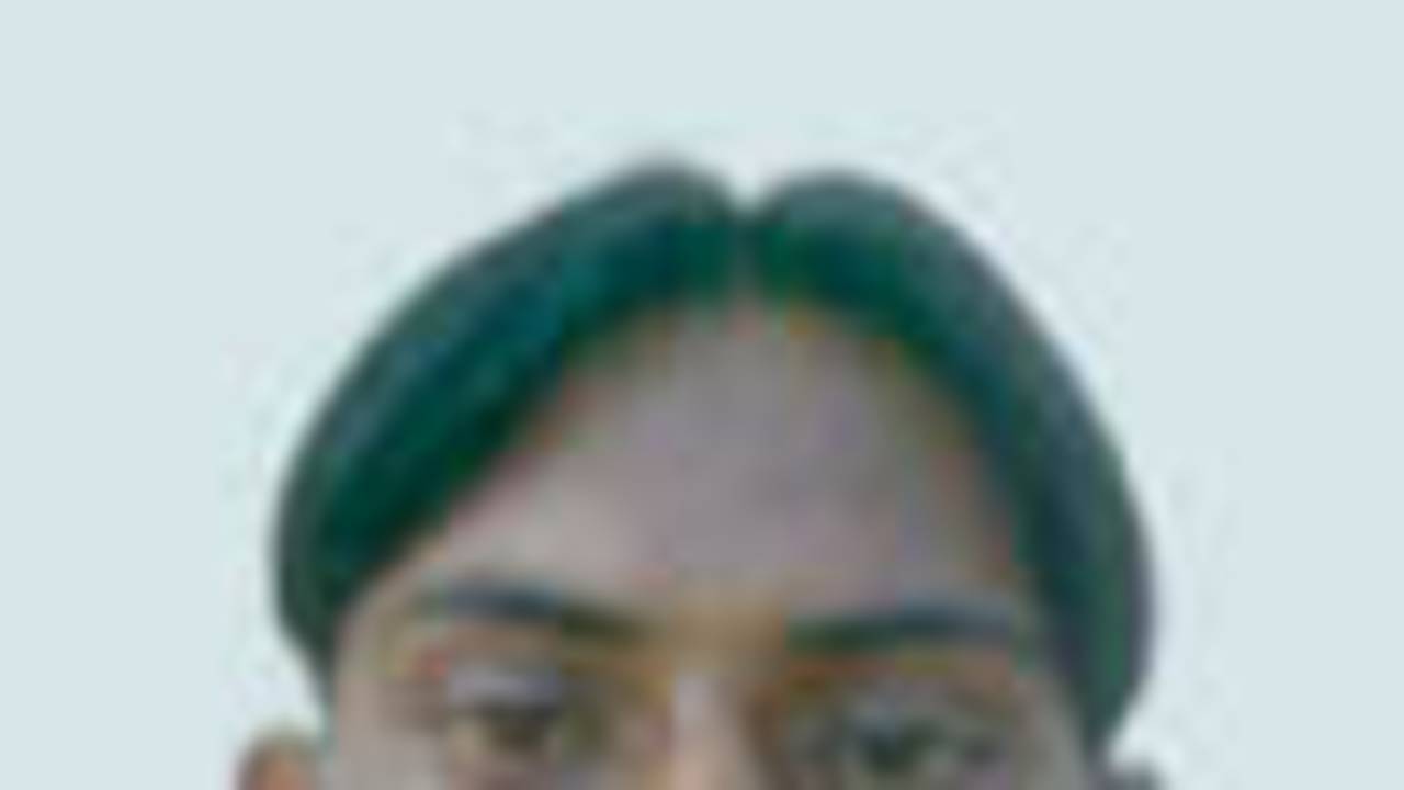 Vipulkumar Patel, Portrait