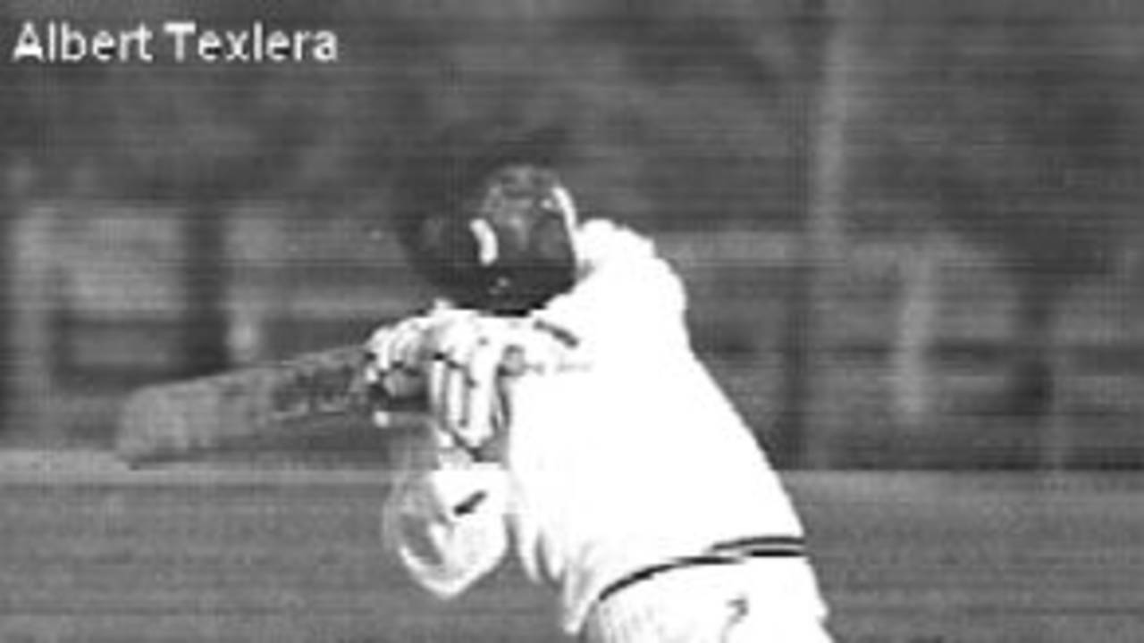 Albert Texeira batting, 1994