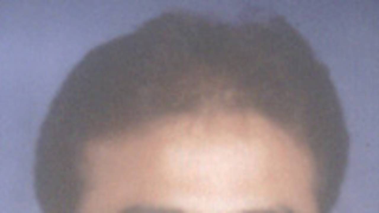 Portrait of Sajjad-ul-Haq