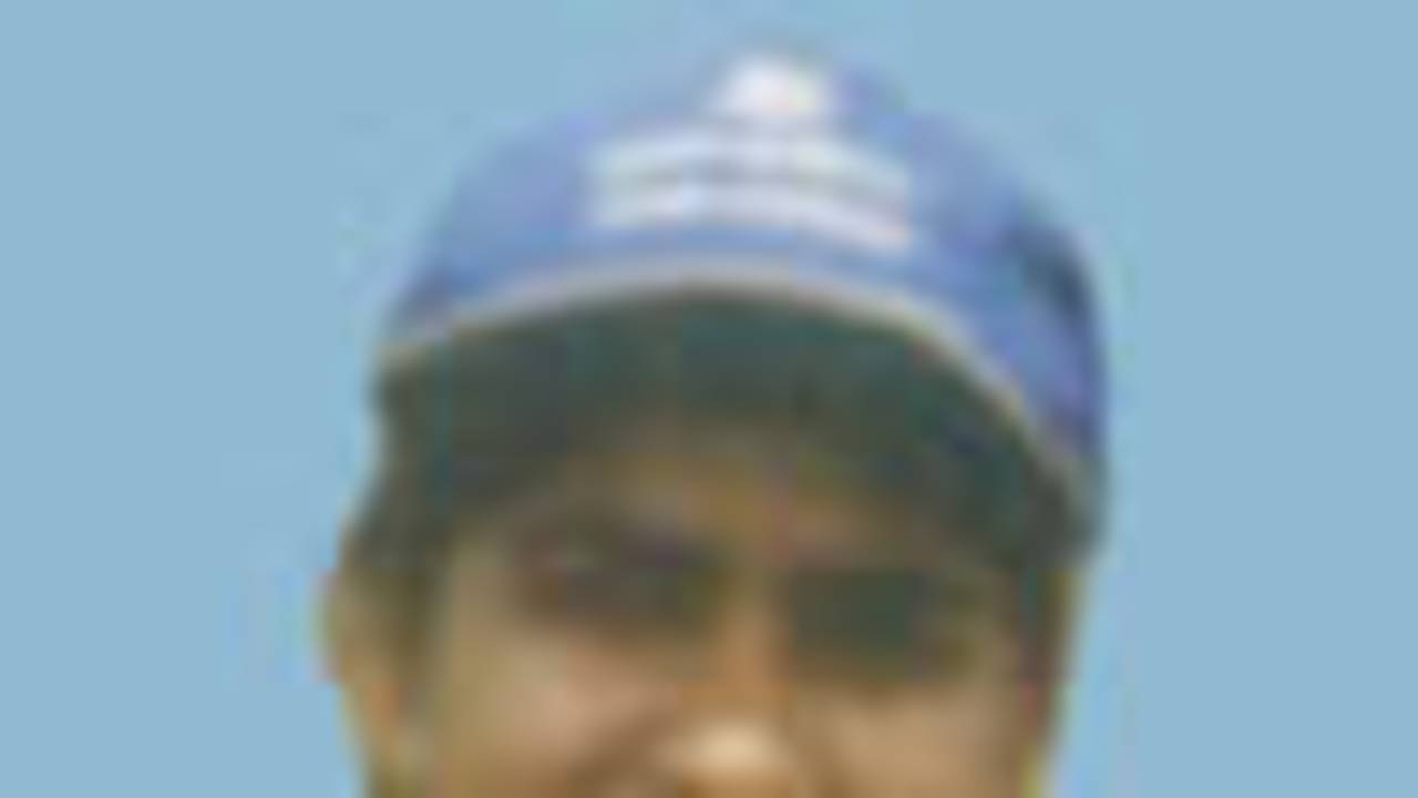 Manju Nadgauda, Air India, Portrait