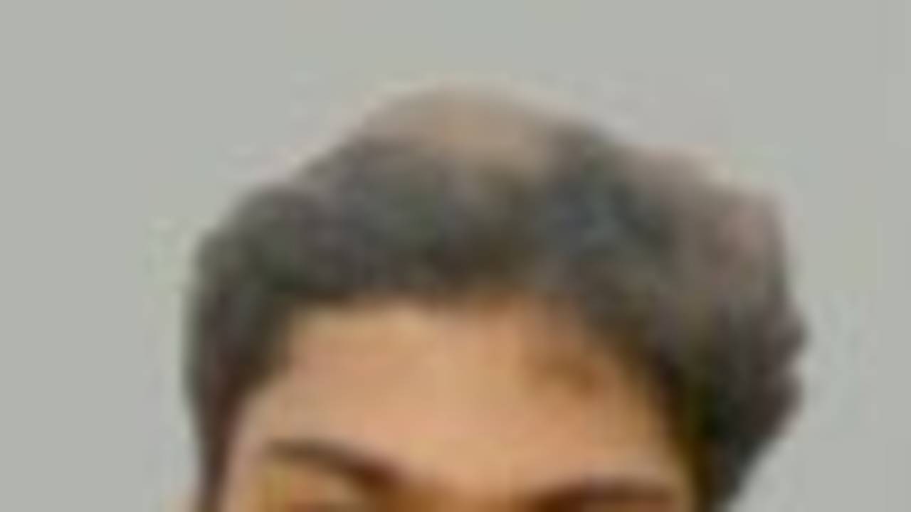 Gupta, Portrait