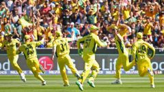 Australia in a final: Men at work, business as usual