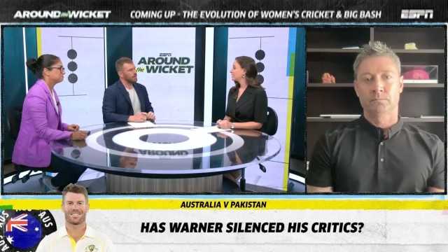 Could David Warner reverse retirement plans?