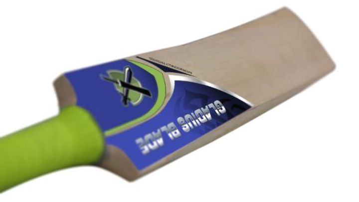 Explainer: the Gladius bat
