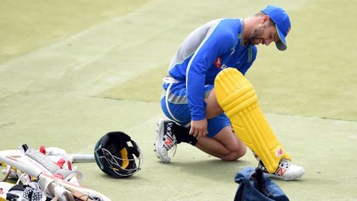 Langer backs Wade to become the best
