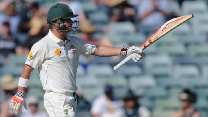 There are pros and cons to using big bats - Warner