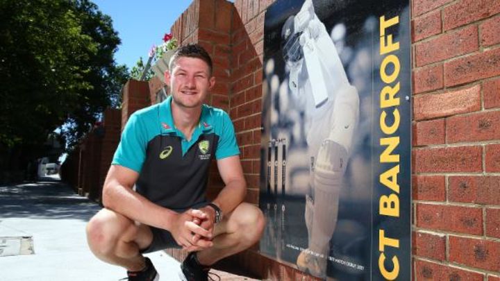 No one works harder than Bancroft in world cricket - Langer