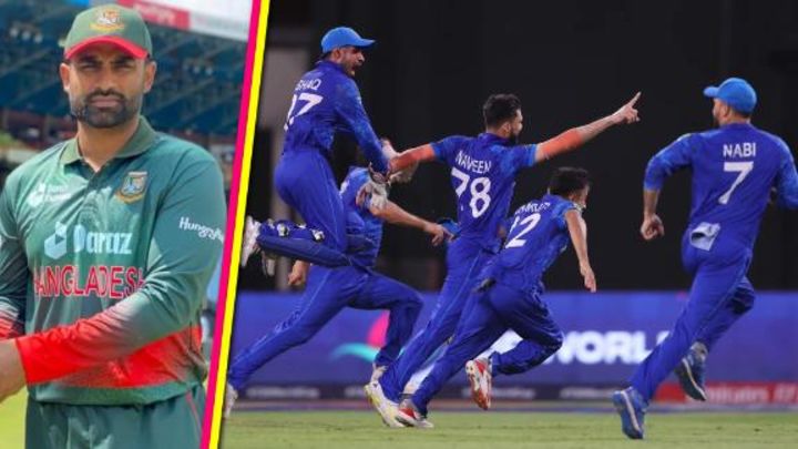 Tamim: This is massive for Afghanistan cricket