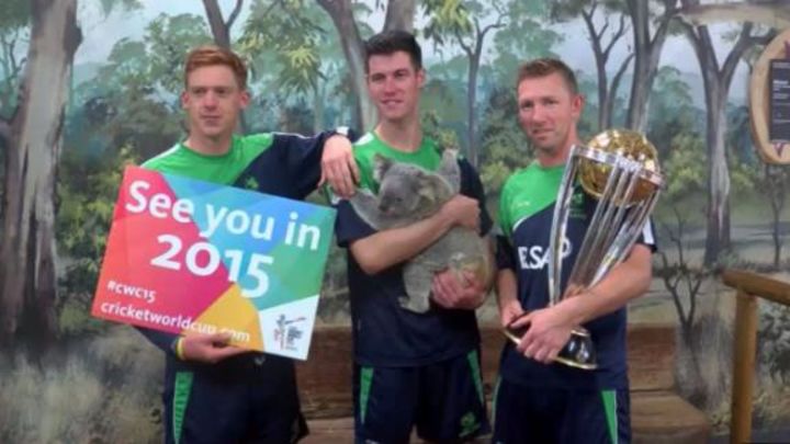 Ireland announce World Cup squad