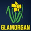 Glamorgan 2nd XI Cricket Team