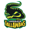 Jamaica Tallawahs Cricket Team