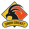 Sindh 2nd XI Cricket Team