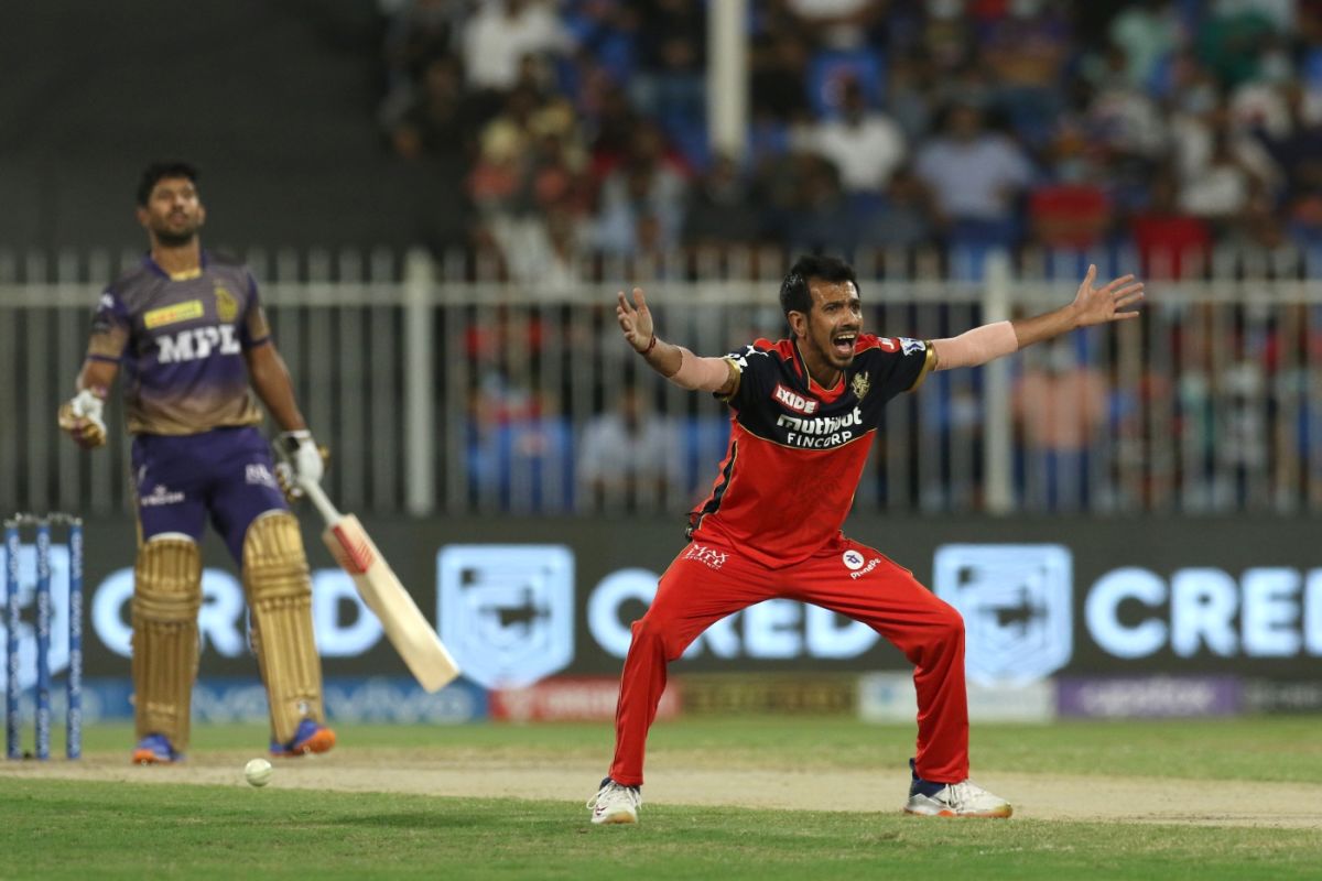 T20 World Cup: From Faf du Plessis to Sunil Narine and Yuzvendra Chahal, check IPL 2021 superstars who won't feature in T20 WC