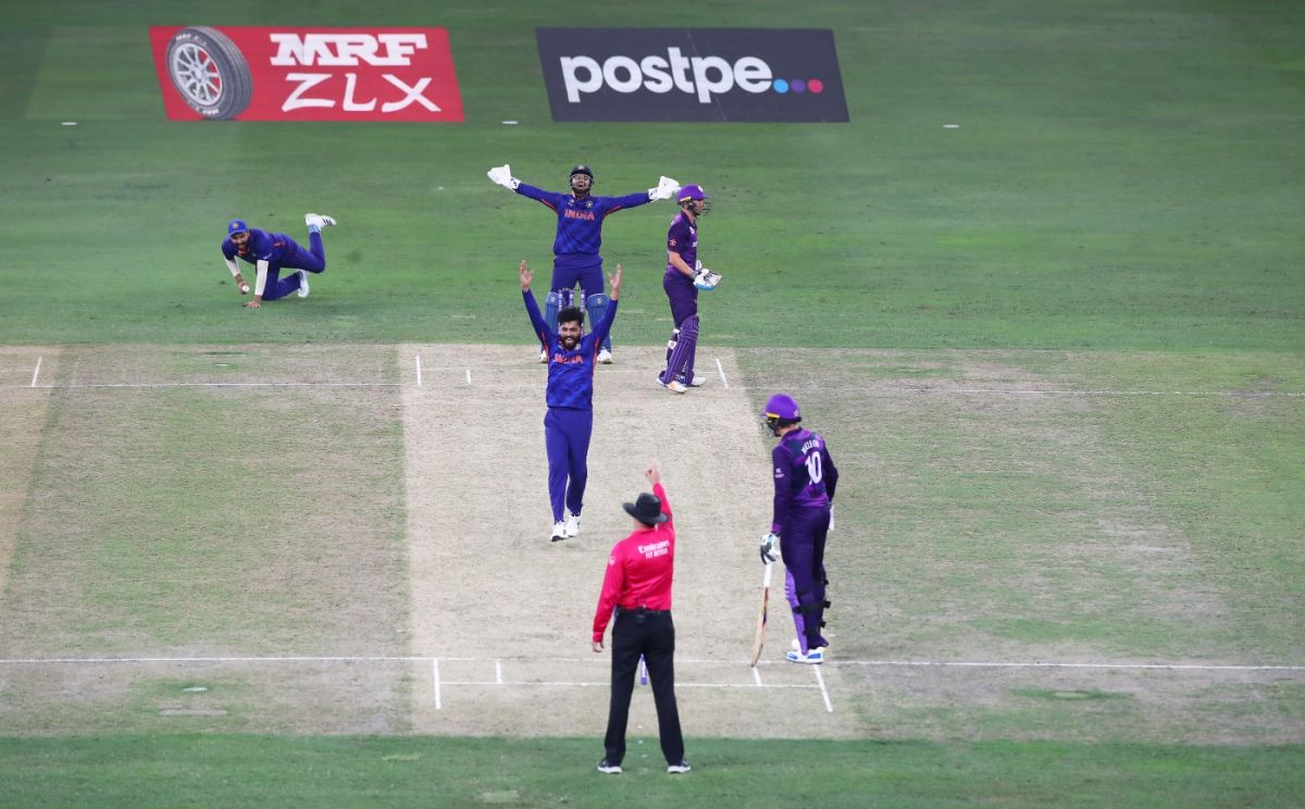 Ravindra Jadeja belts out a successful appeal, India vs Scotland, Men's T20 World Cup 2021, Super 12s, Dubai, November 5, 2021
