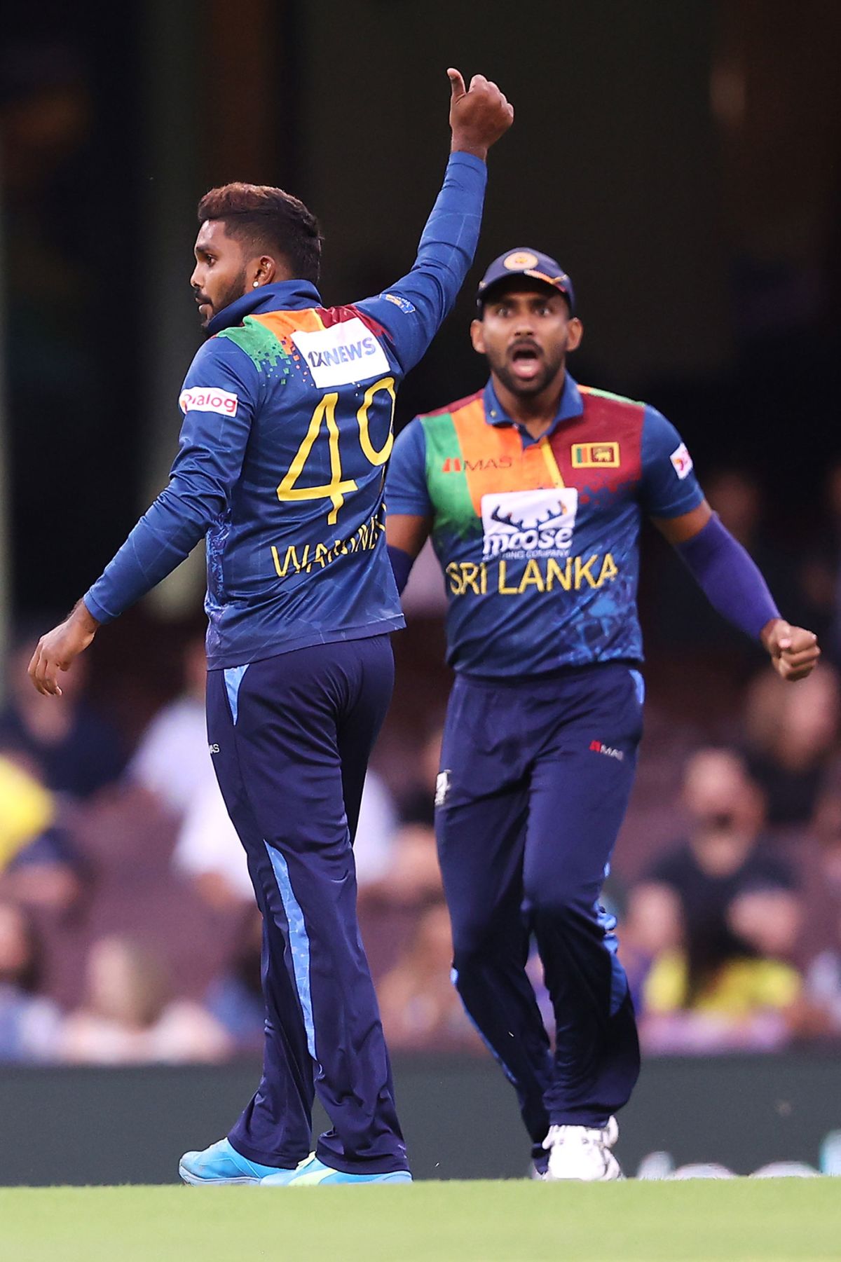 Wanindu Hasaranga removed Aaron Finch, Australia vs Sri Lanka, 1st T20I, Sydney, February 11, 2022