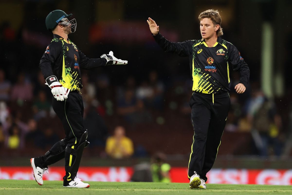 Adam Zampa celebrates one of his three wickets, Australia vs Sri Lanka, 1st T20I, Sydney, February 11, 2022