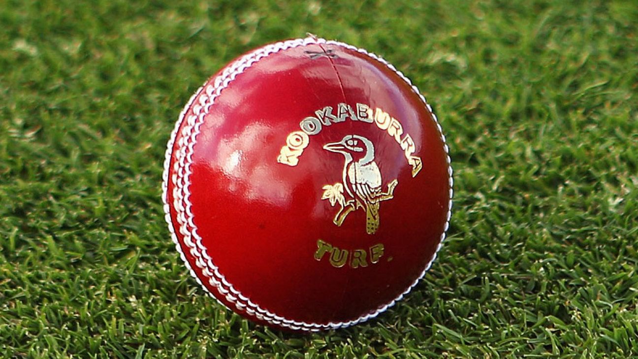 cricket leather ball