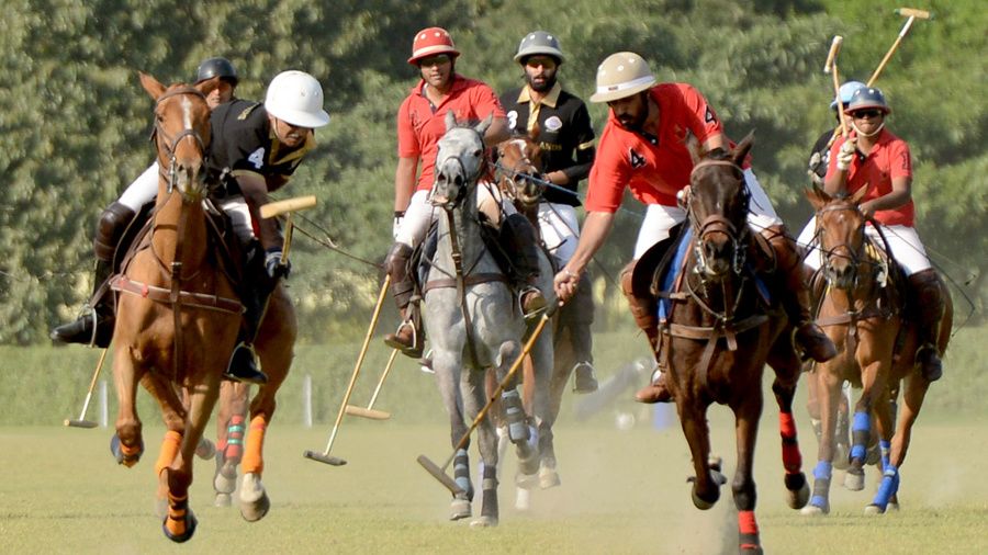 Jaipur: the experience of watching a polo match | ESPNcricinfo