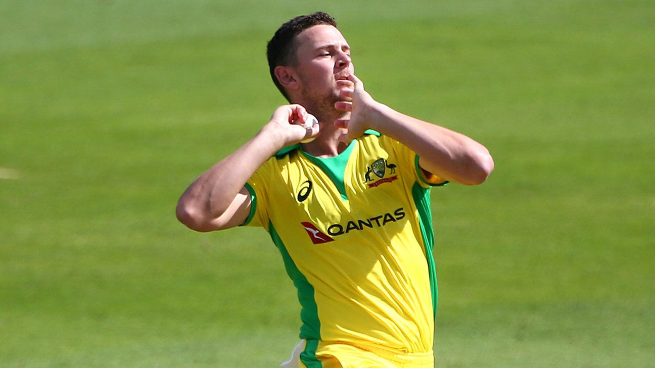 Josh Hazlewood’S Worst Day Ever? You Decide (Australia Vs South Africa T20I) - baxr9ga