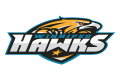 Winnipeg Hawks logo | ESPNcricinfo.com