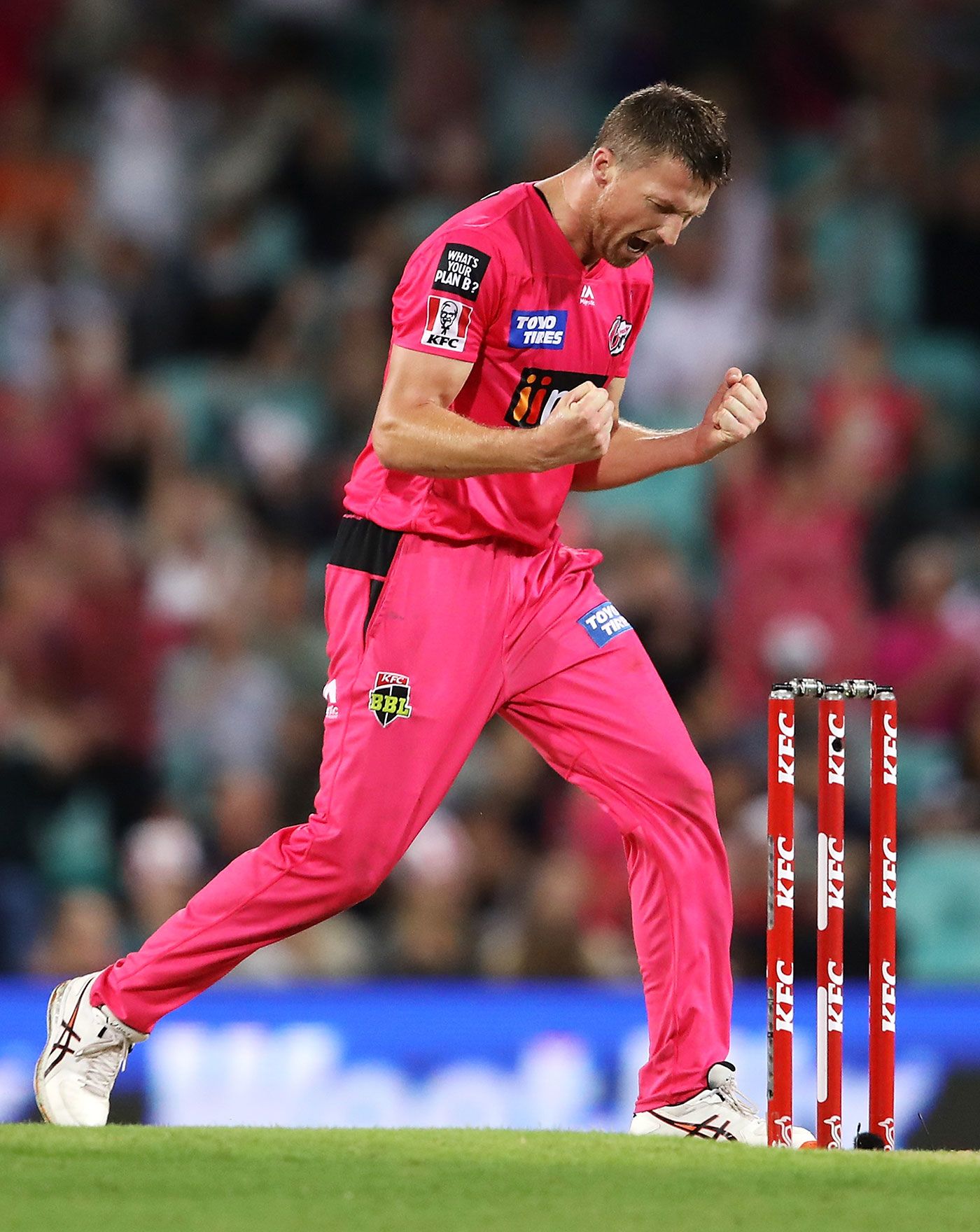 Jackson Bird removed both Perth Scorchers openers when they were set