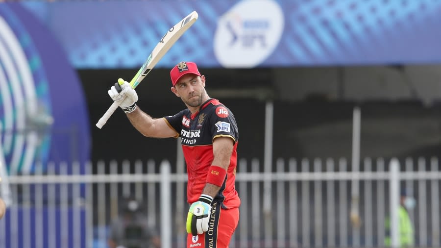 Cricket News: Glenn Maxwell says "It's definitely realistic"