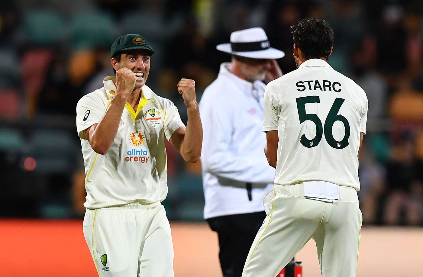 Pat Cummins and Mitchell Starc celebrate the wicket of Ben Stokes ...