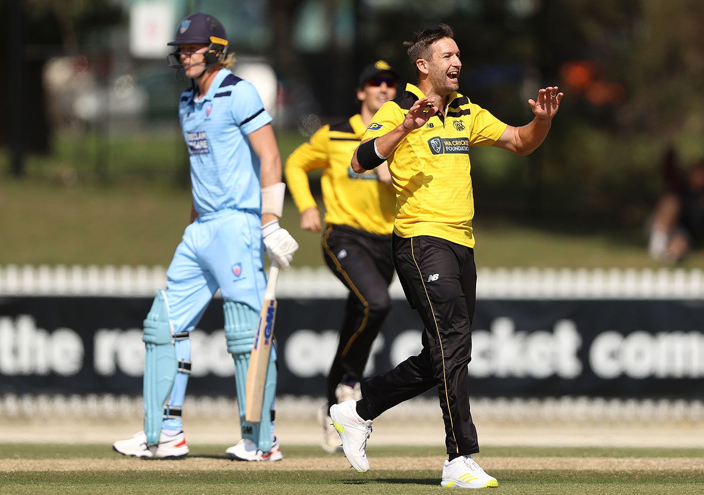 Andrew Tye claimed four wickets to take Western Australia to the title ...