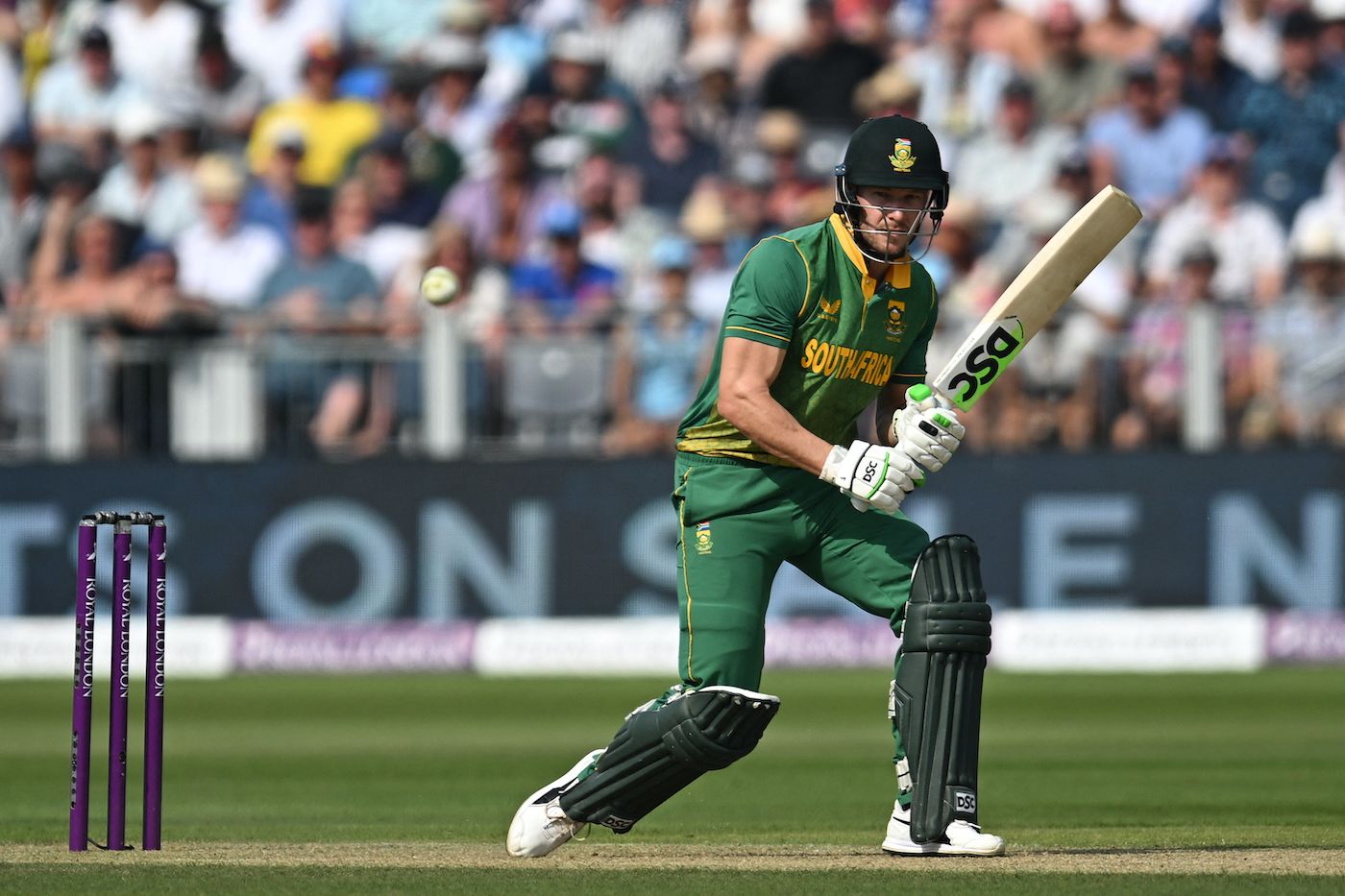 David Miller's quick-fire 24* helped South Africa finish on a high ...