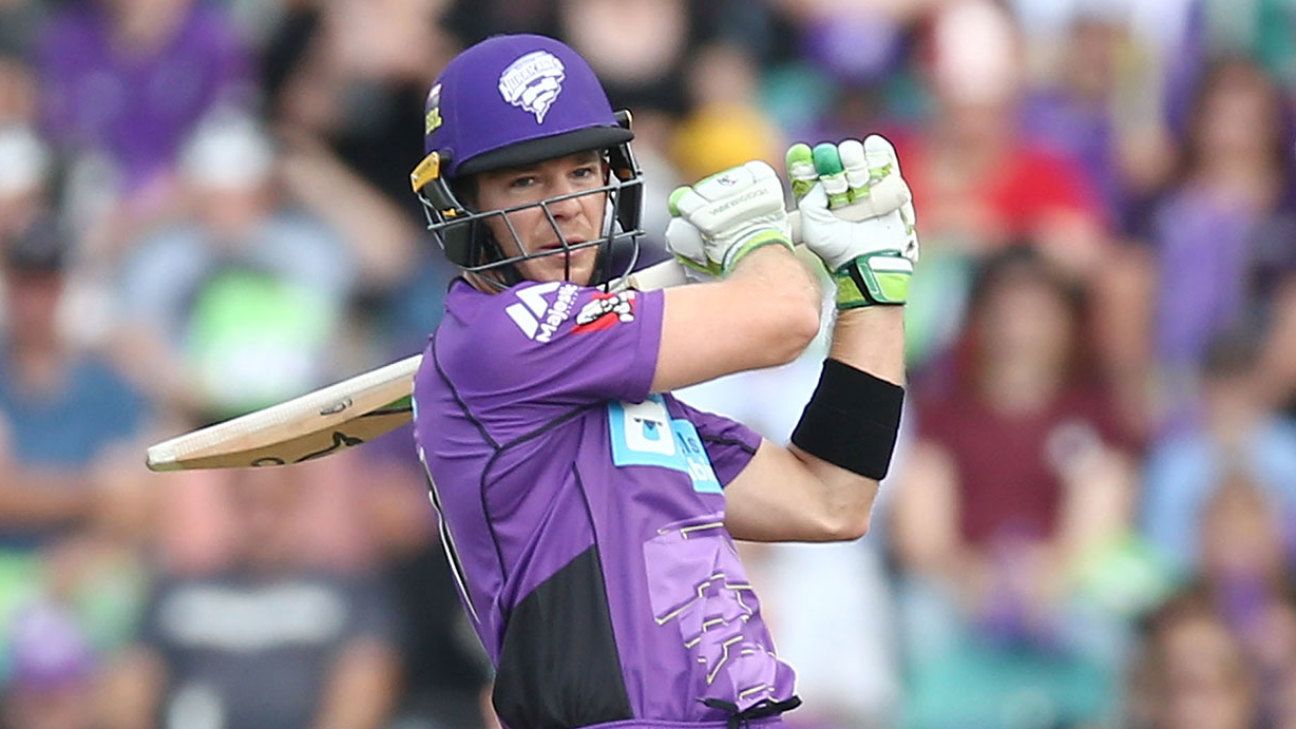 Tim Paine joins Adelaide Strikers as assistant coach in BBL