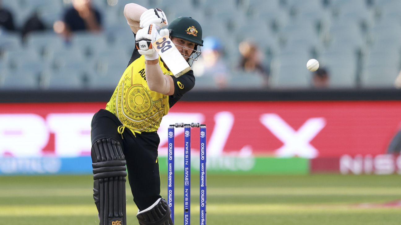 George Bailey confident David Warner will feature in Australia T20Is despite ILT20