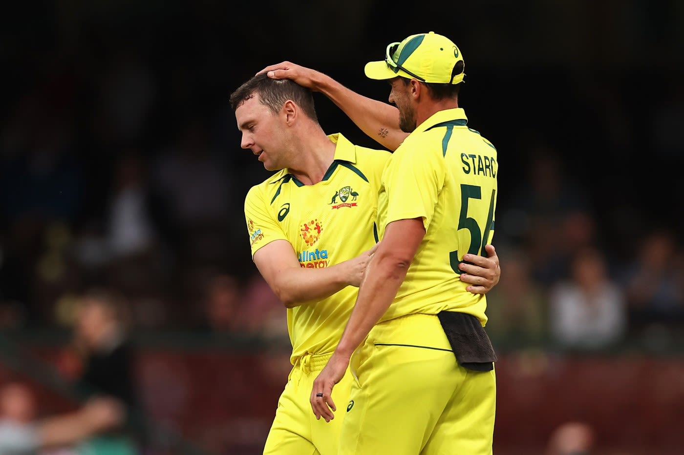 Josh Hazlewood celebrates his first wicket as captain | ESPNcricinfo.com