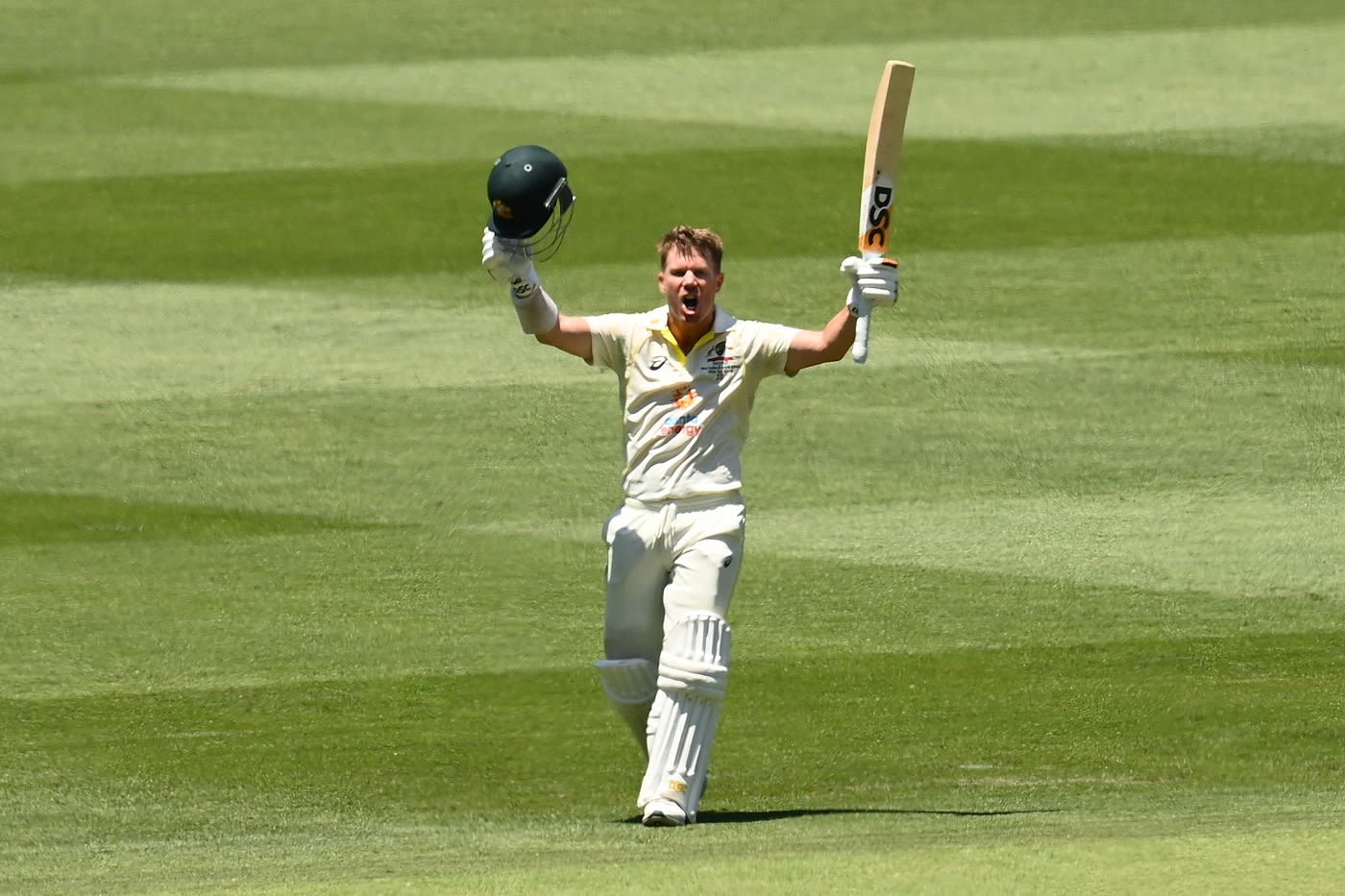 David Warner joined an elite company after recording a century in his