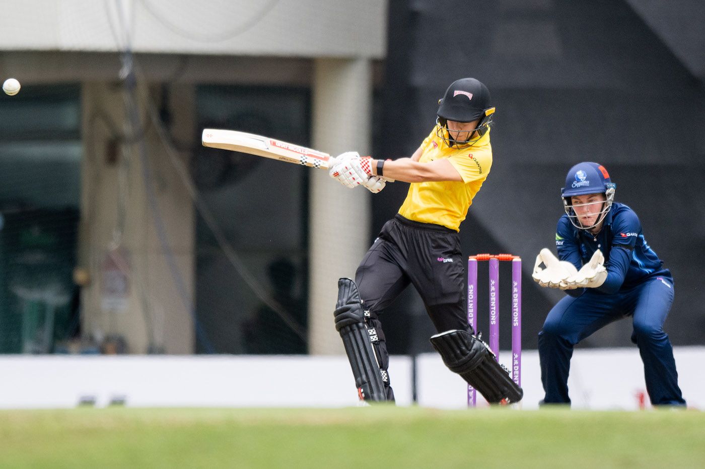 Phoebe Litchfield flattened Sapphires with her barrage of boundaries