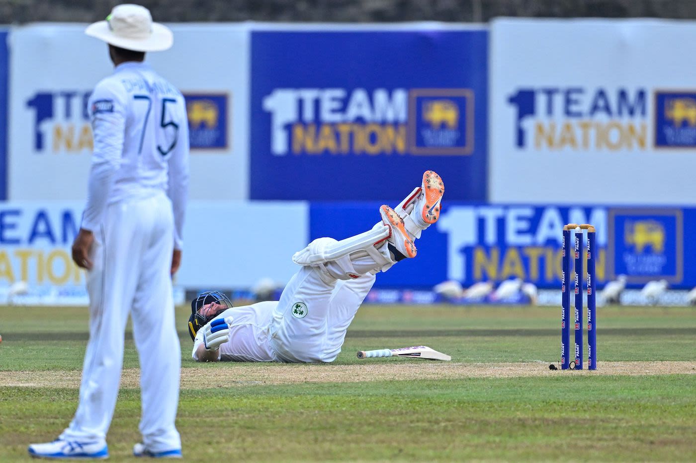 Paul Stirling played a big part in reviving Ireland, but couldn't ...