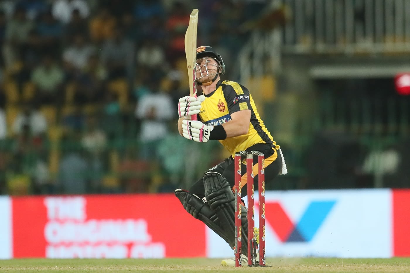 Tim Seifert scored 74 off 39