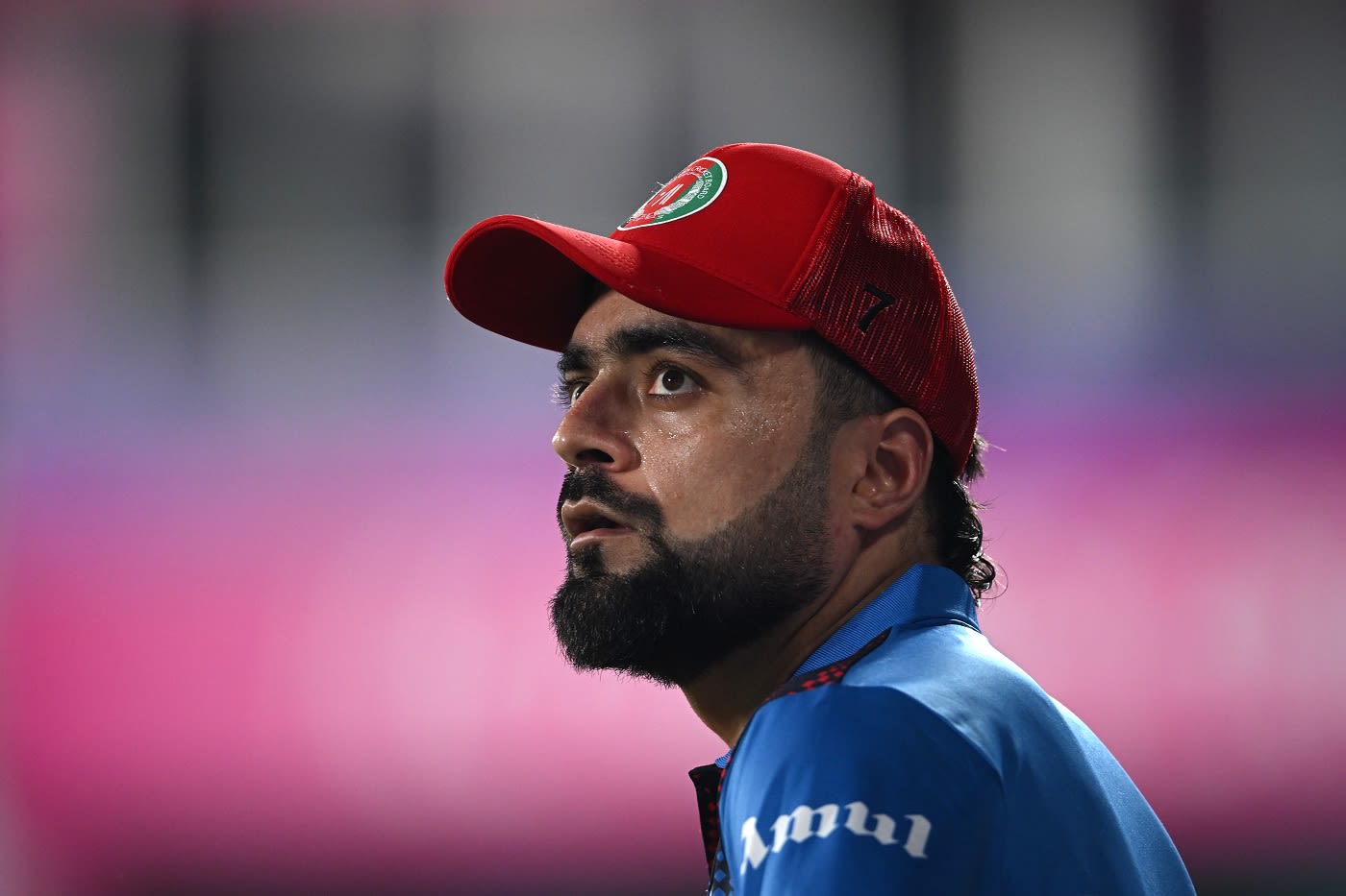 Rashid Khan looks on | ESPNcricinfo.com